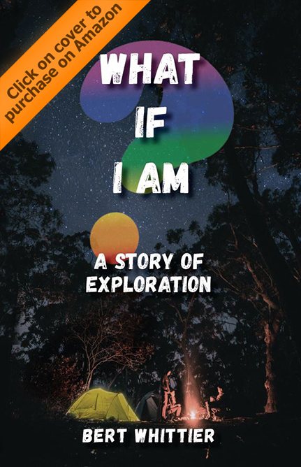 The book cover for What If I Am
